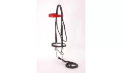 Silver Fox Walking Horse Bridle