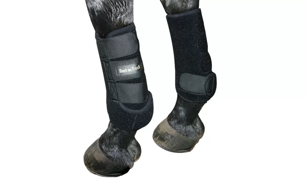 Back On Track Exercise Boots - Front (Pair) - Image 2