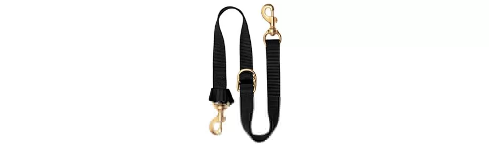 Weaver Deluxe Nylon Tie Down Strap