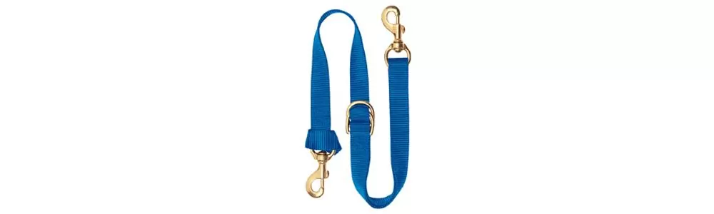 Weaver Deluxe Nylon Tie Down Strap - Image 3