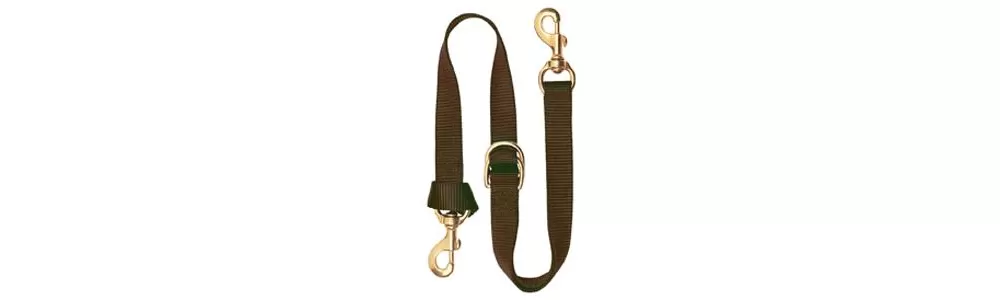 Weaver Deluxe Nylon Tie Down Strap - Image 4