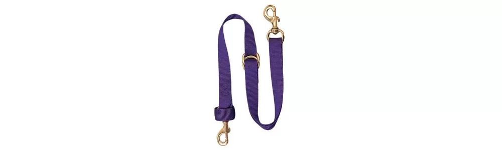 Weaver Deluxe Nylon Tie Down Strap - Image 5