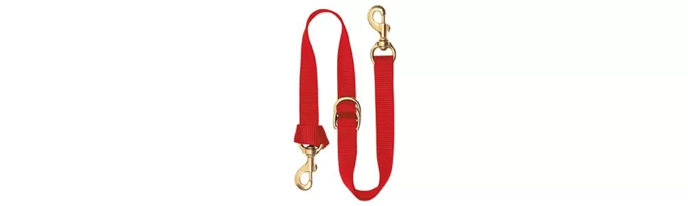 Weaver Deluxe Nylon Tie Down Strap - Image 6