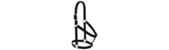 Weaver Basic Non-Adjustable 1" Nylon Halter