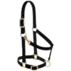 Weaver Basic Adjustable Chin Halter With Throat Snap