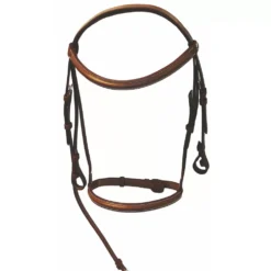 Henri De Rivel Plain Raised Bridle
