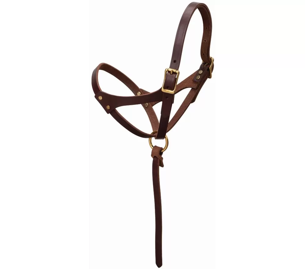 Weaver Figure 8 Foal Halter - Image 2