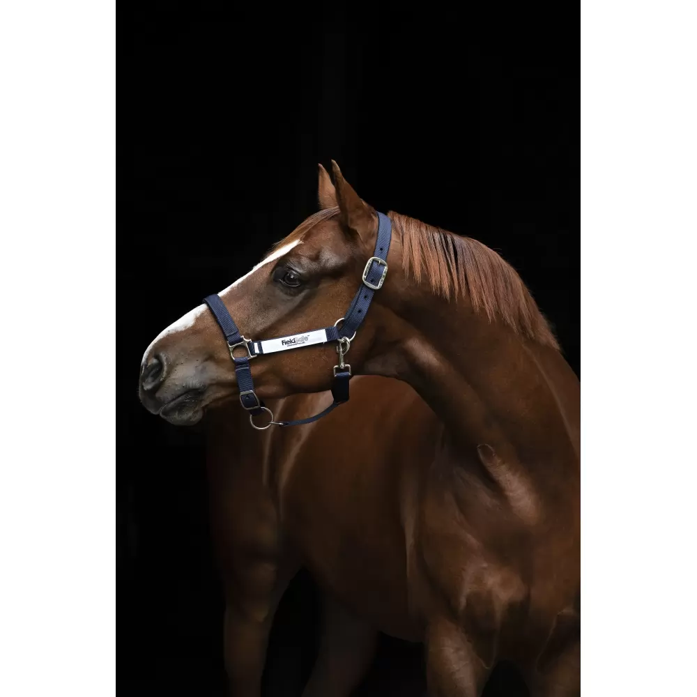 Rambo Fieldsafe Halter - Image 4