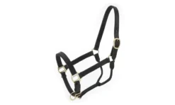Royal King Leather Stable Halter