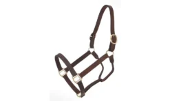 Royal King Leather Track Halter