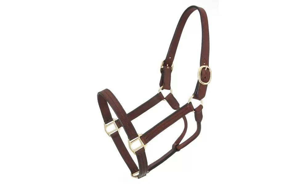 Royal King Leather Track Halter - Image 4