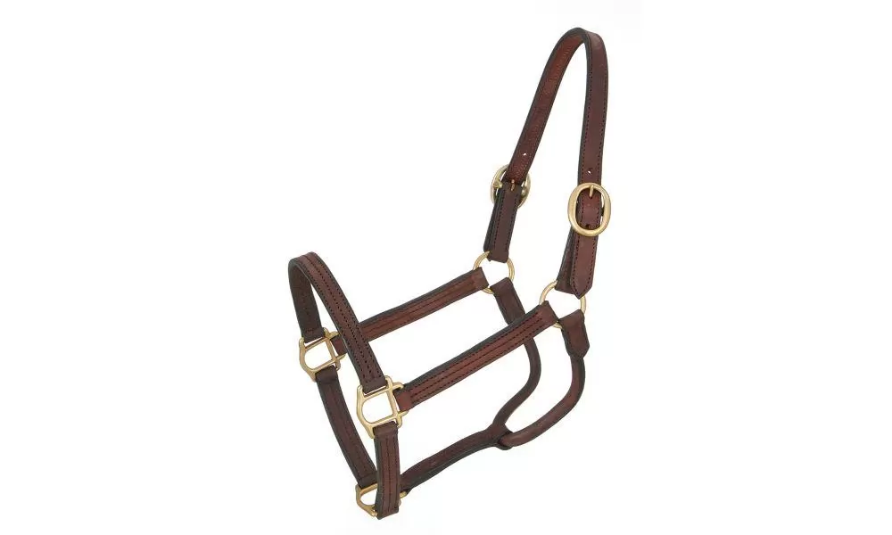 Royal King Leather Track Halter - Image 2