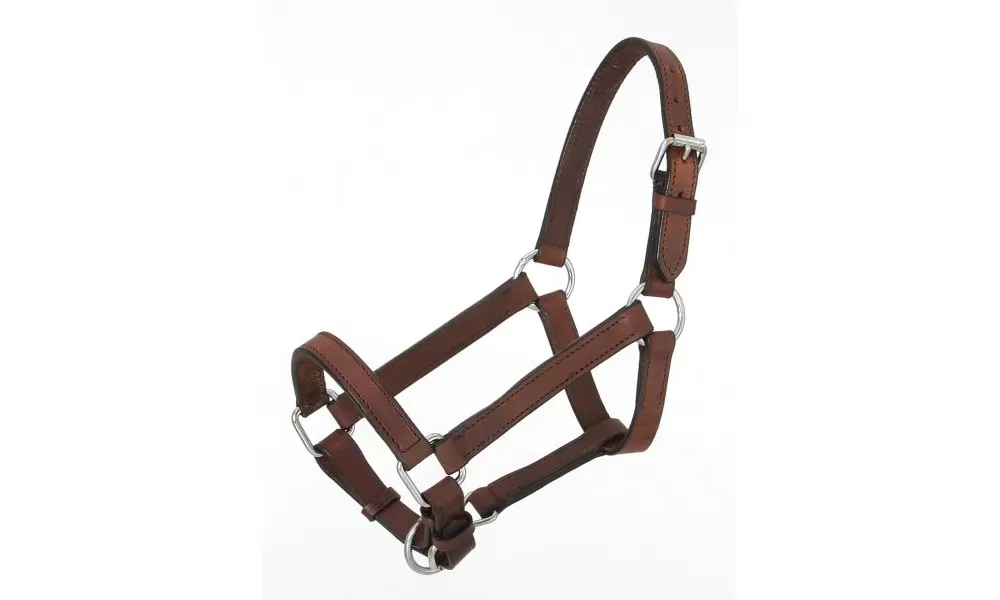 Royal King Miniature Leather Halter - Image 3