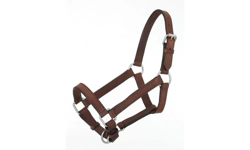 Royal King Miniature Leather Halter - Image 2