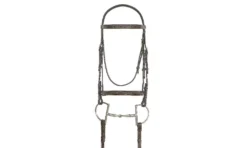 Ovation Fancy Stitched Padded Bridle