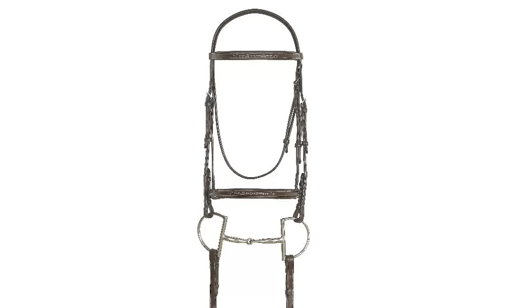 Ovation Fancy Stitched Padded Bridle