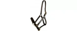 Gatsby Leather Adjustable Turnout Halter Without Snap