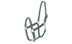 Gatsby I LOVE MY OWNER Nylon Halter