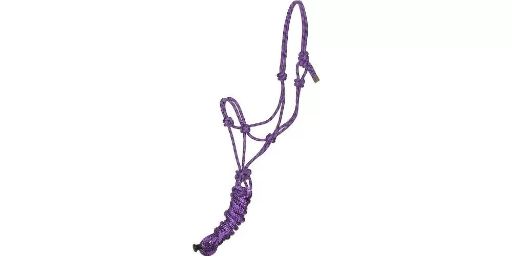 Gatsby Professional Cowboy Halter With Lead