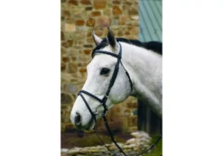 Henri De Rivel Padded Dressage Bridle With Flash