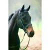 Henri De Rivel Collection Padded Dressage Bridle