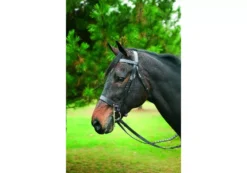 Henri De Rivel Collection Hunt Bridle