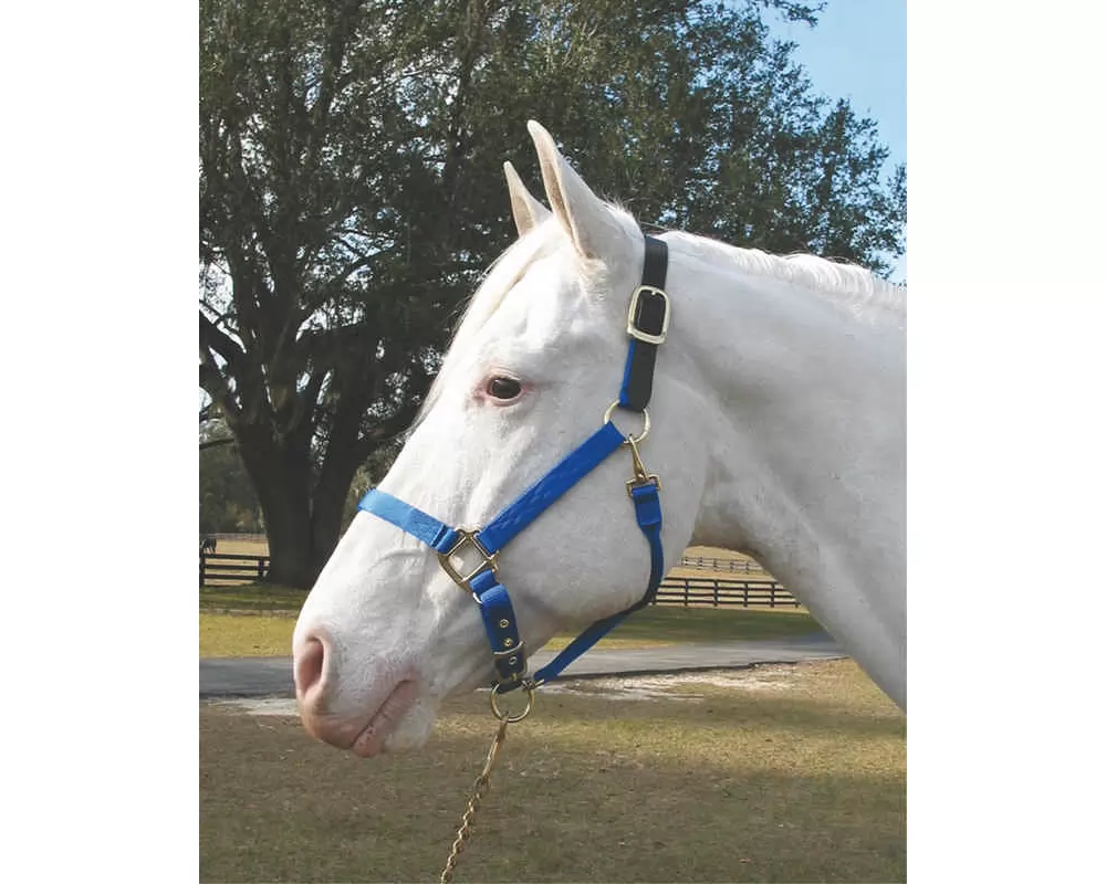 Hamilton Horse Halter With Leather Crown - Image 2