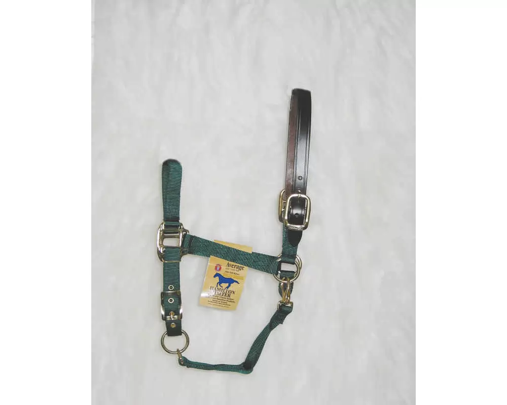 Hamilton Horse Halter With Leather Crown - Image 3