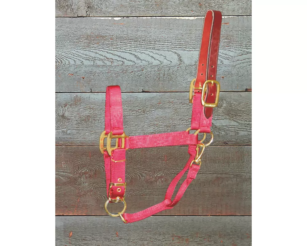 Hamilton Horse Halter With Leather Crown - Image 4
