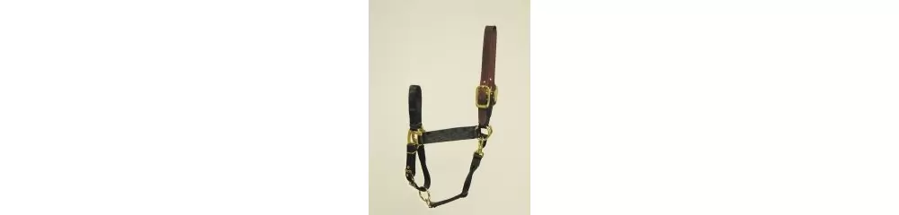 Hamilton Horse Halter With Leather Crown - Image 5