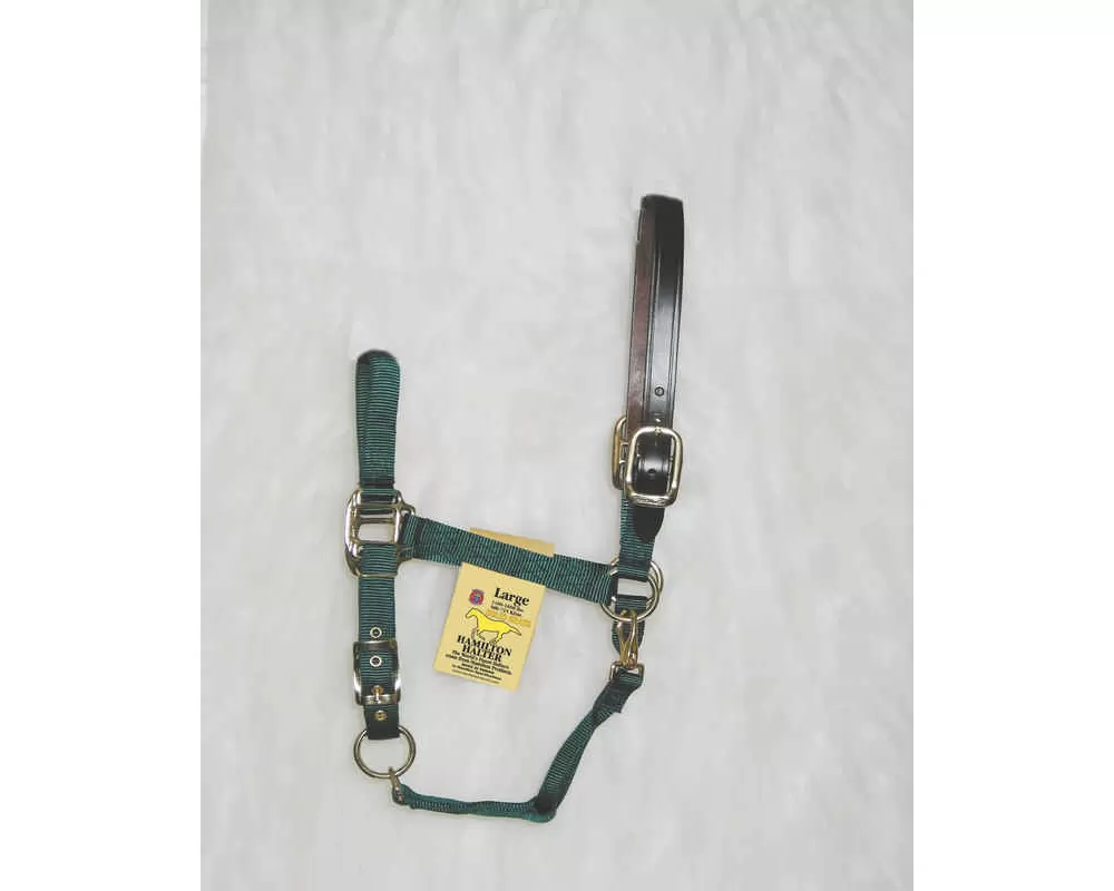 Hamilton Horse Halter With Leather Crown - Image 7