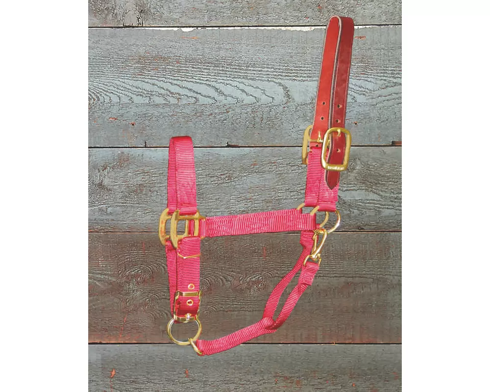 Hamilton Horse Halter With Leather Crown - Image 8