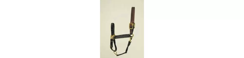 Hamilton Horse Halter With Leather Crown - Image 9