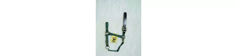 Hamilton Horse Halter With Leather Crown - Image 11