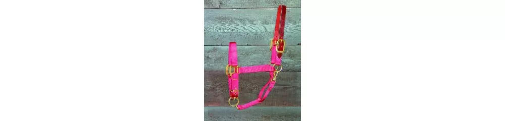 Hamilton Horse Halter With Leather Crown - Image 12