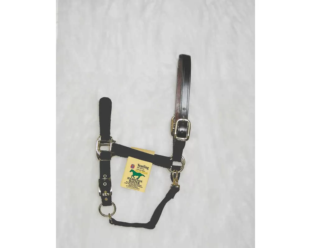 Hamilton Horse Halter With Leather Crown - Image 13