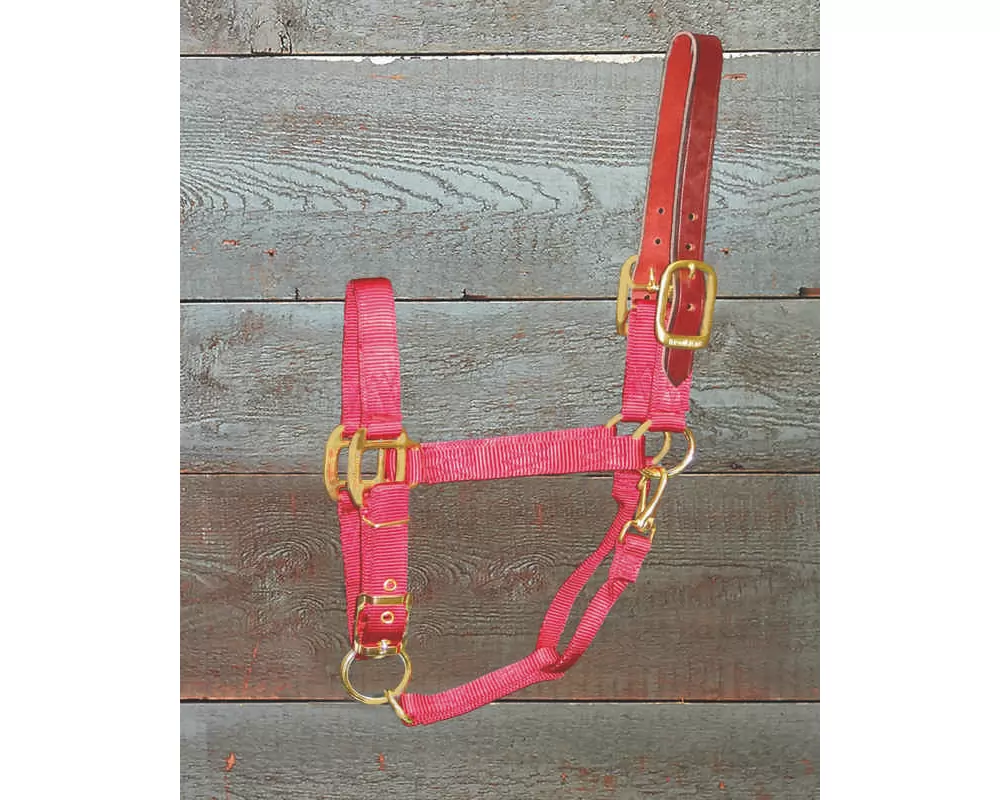 Hamilton Horse Halter With Leather Crown - Image 14