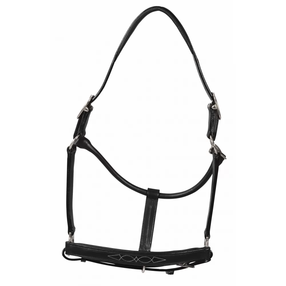 Fancy Padded Rolled Throat Triple Stiched Halter - Image 3