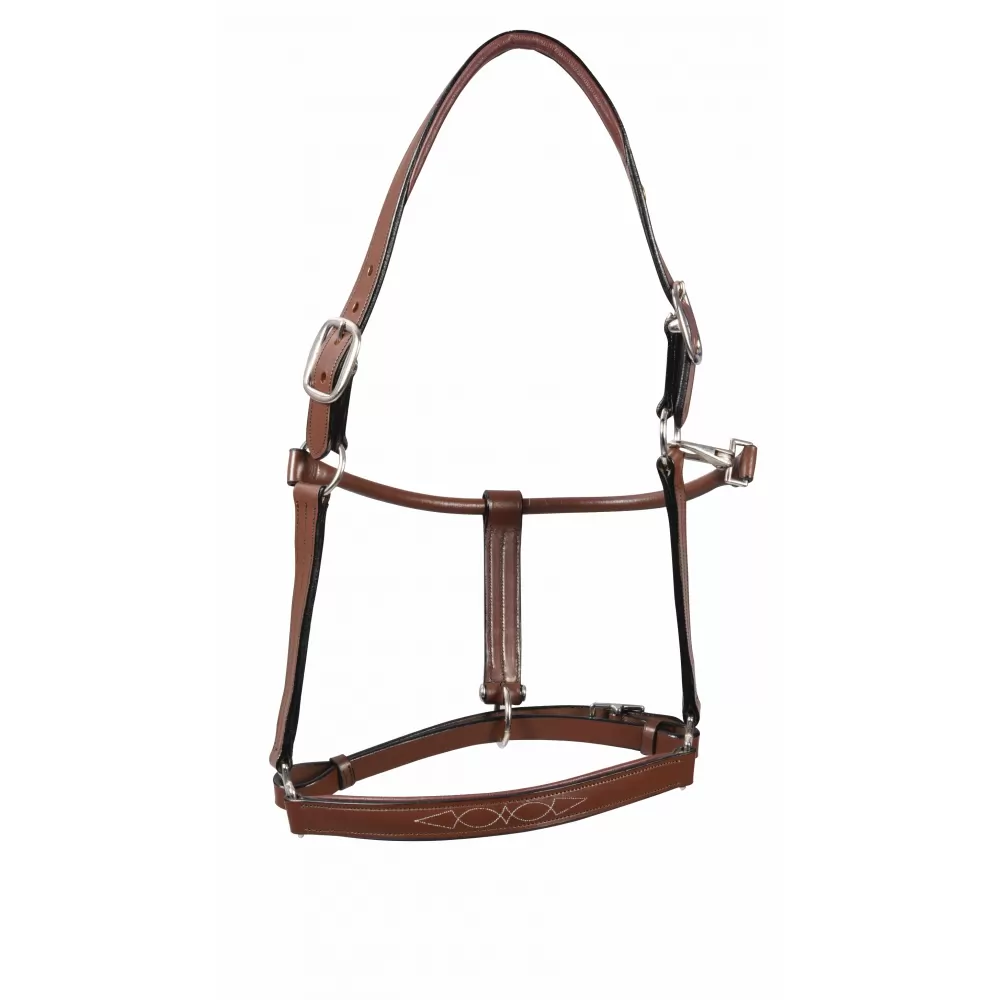 Fancy Padded Rolled Throat Triple Stiched Halter