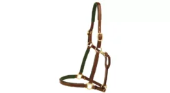 Tory Leather 3/4" Padded Halter With Brass Hardware