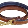 Tory Leather 1" Padded Lead