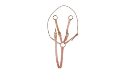 Tory Leather Training Fork Martingale - Brass Hardware