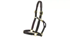 Tory Leather 1" Padded Halter With Brass Hardware