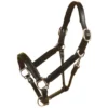 Tory Leather Bridle Leather Padded Halter With Nickel Hardware