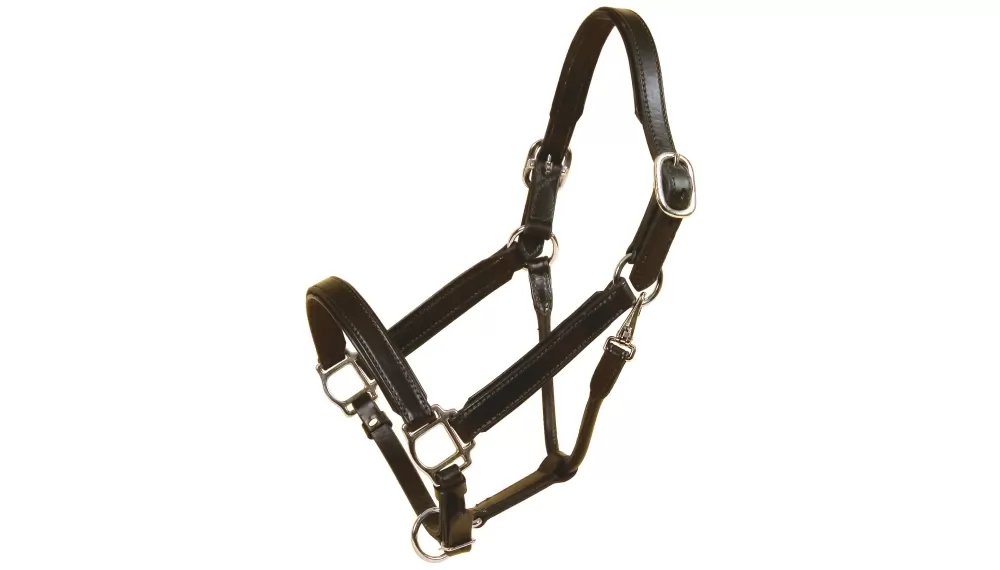 Tory Leather Bridle Leather Padded Halter With Nickel Hardware - Image 5