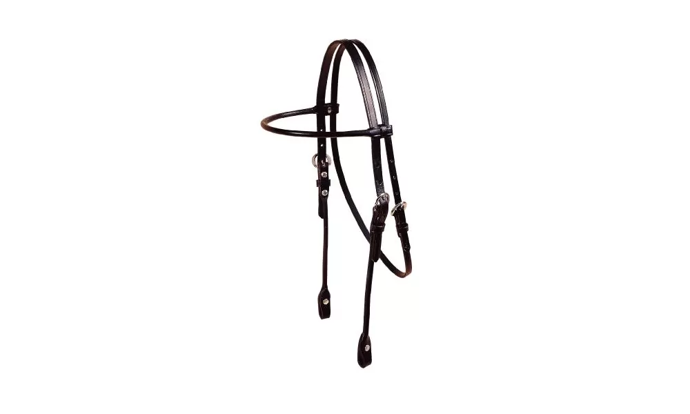 Tory Leather Brow Band Rolled Bridle Leather Headstall - Image 4