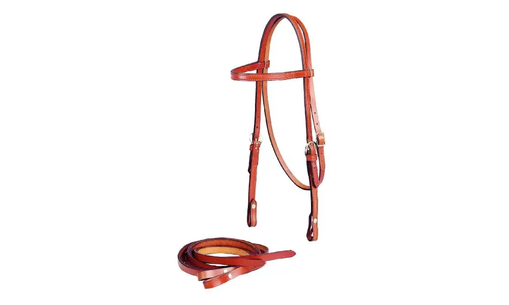Tory Leather 5/8" Browband Headstall & Single Ply Reins - Image 4