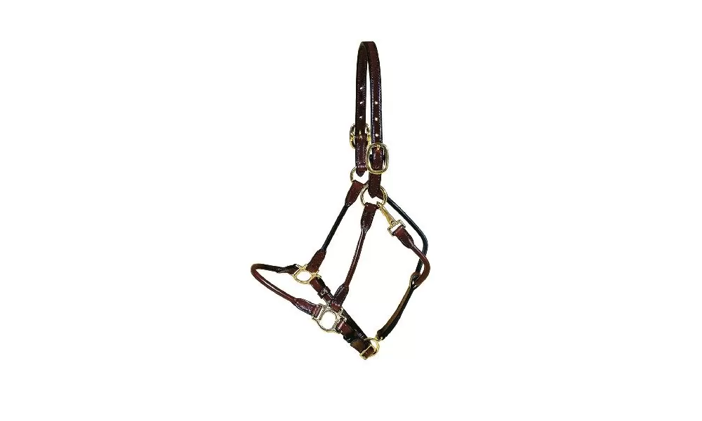 Tory Leather Arab Halter - Brass Hardware - Image 3