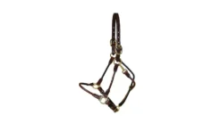 Tory Leather Arab Halter - Brass Hardware
