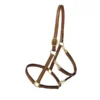 Tory Leather Track/Grooming Conversion Halter With Brass Hardware